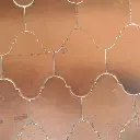 WhatsApp_Image_2025-01-18_at_12.50.44_PM_024c1047-2a03-4475-bed8-db0566d8b3aa.webp