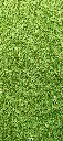 summer-scaled.webp