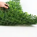 follajee (1).webp
